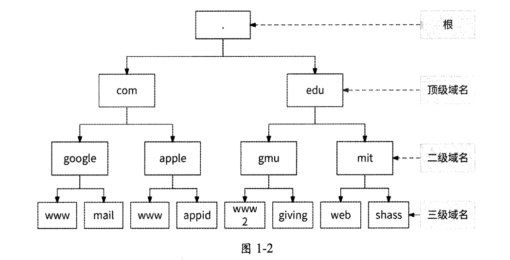 image-20250216110358579