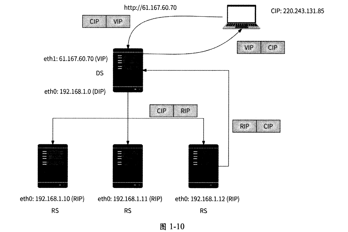 image-20250216125825734