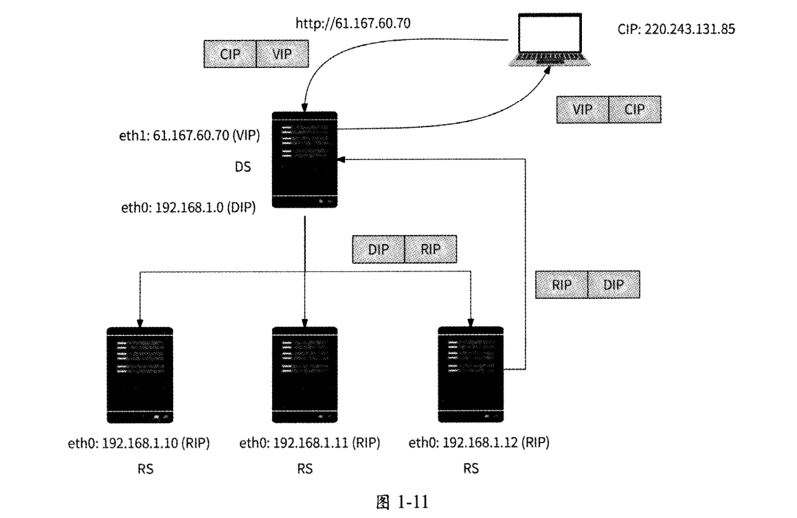 image-20250216130300390