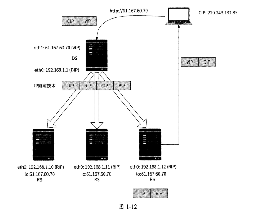 image-20250216130454307