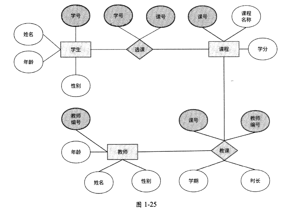 image-20250217101628408