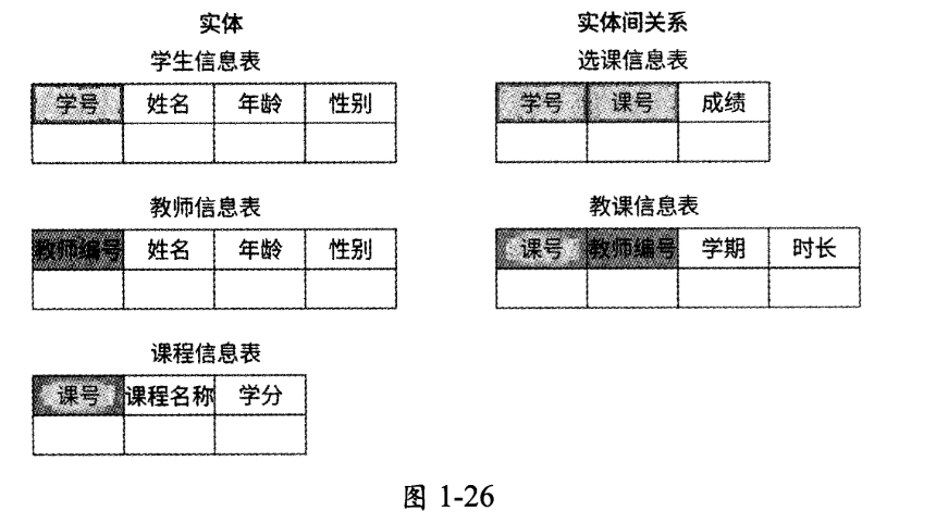 image-20250217101705260