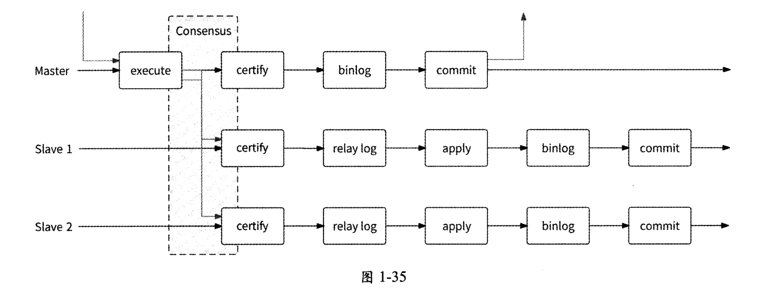 image-20250217110238879